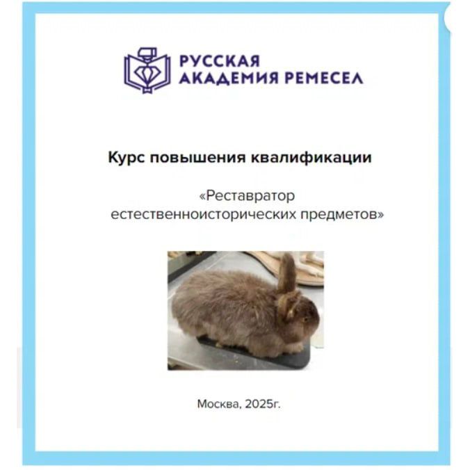 Процесс обучения на онлайн-курсе Реставратор естественно-исторических предметов