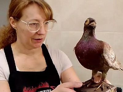 Уникальный онлайн‑курс по реставрации естественно‑исторических предметов: откройте путь к профессиональной категории реставратора